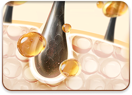 cấy ghép tóc y học quốc tế