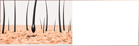 Kiểm tra tốc độ rụng tóc