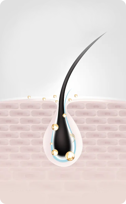 kiểm tra nang tóc