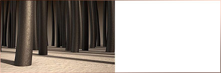 Dự đoán chiều hướng rụng tóc