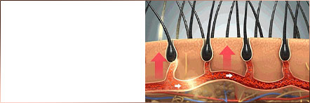 Phân tích mật độ tóc và chất tóc