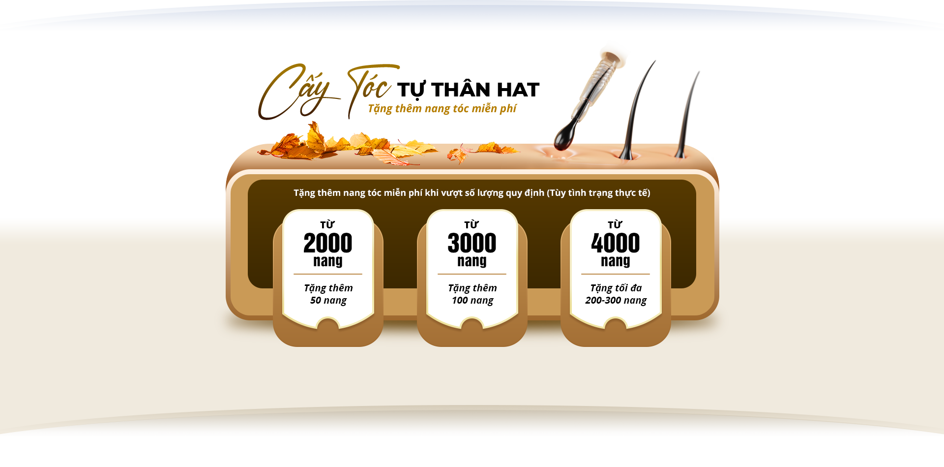 cấy ghép tóc y học hà nội