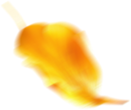 cấy ghép tóc y học hà nội