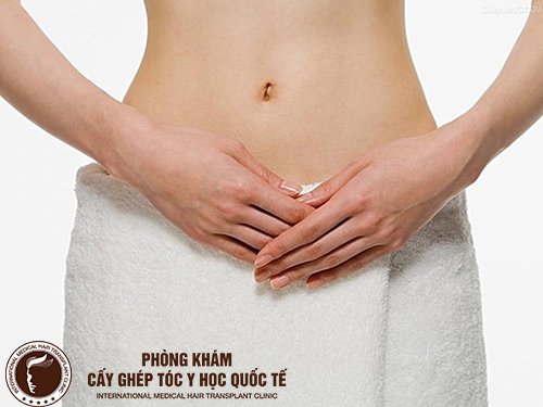 Cấy lông mu ở đâu uy tín, giá cấy là bao nhiêu?