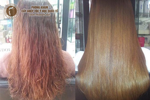 Mẹo phục hồi tóc xơ hư tổn đơn giản tại nhà
