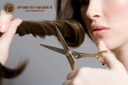 Tóc bị dầu và rụng làm sao để khắc phục?