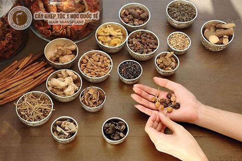Trị rụng tóc đông y bằng 5 bài thuốc hữu hiệu