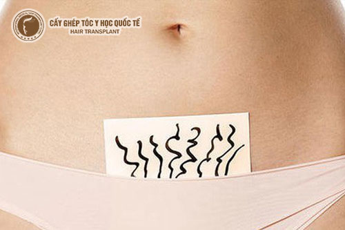 5 cách làm lông mu mọc nhiều hơn không phải ai cũng biết