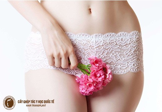 Tiêu chí đánh giá lông vùng kín thế nào là đẹp?