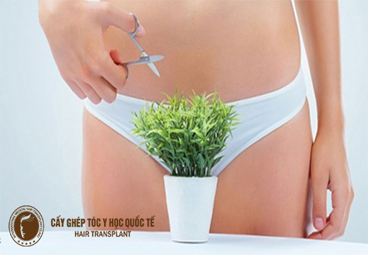 Đàn ông có thích phụ nữ nhiều lông mu hay không?